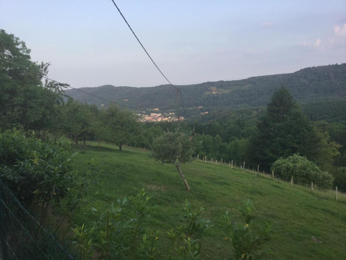 La Ferme De La-Haut B&B Le Haut-du-Them Luaran gambar